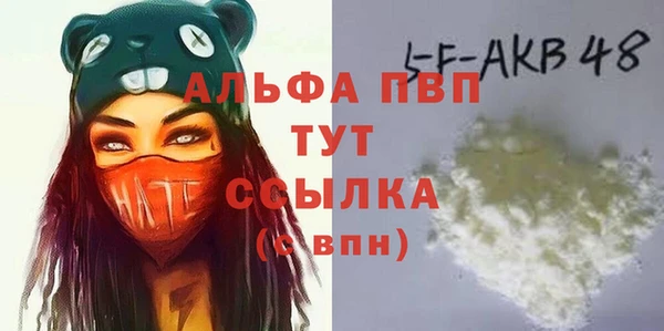 гидра Дмитров