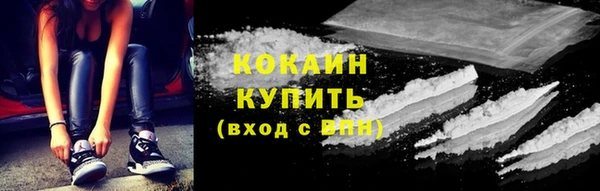 мдпв Дмитровск