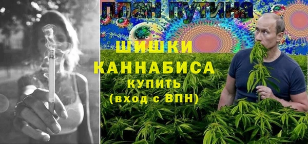 гидра Дмитров