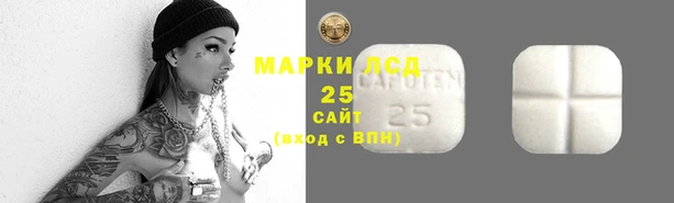 твердый Ельня