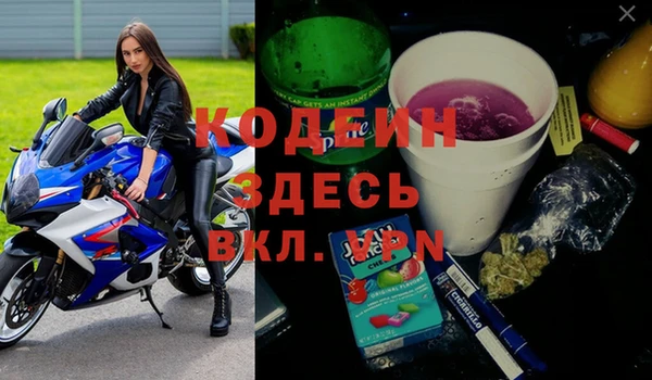 гидра Дмитров