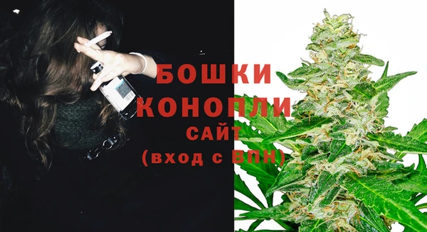 гидропоника Дмитриев
