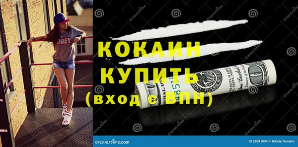 гидропоника Дмитриев
