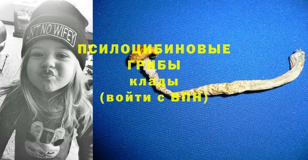гидропоника Дмитриев