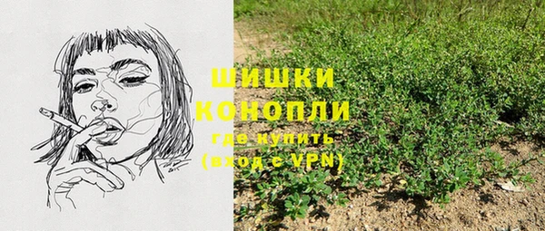 гидра Дмитров