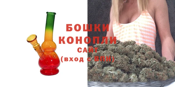 гидра Дмитров