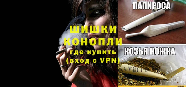 гидропоника Дмитриев
