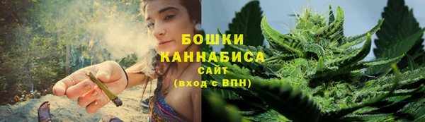 гидра Дмитров