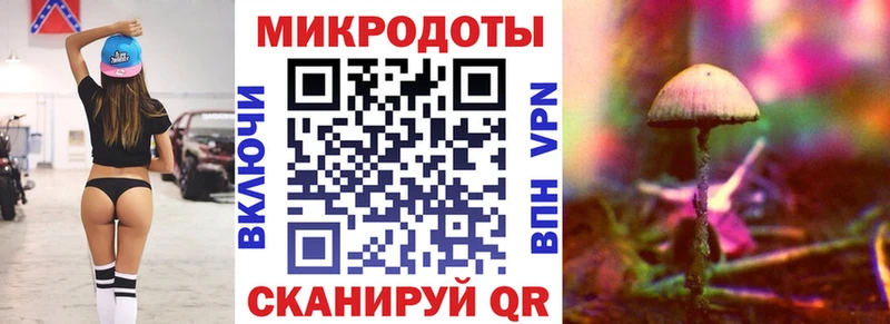 Купить где  Медынь  Псилоцибиновые грибы MAGIC MUSHROOMS 